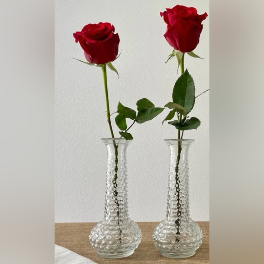 Vintage set of (2) Heirloom Hobnail Bud Vase Clear‎